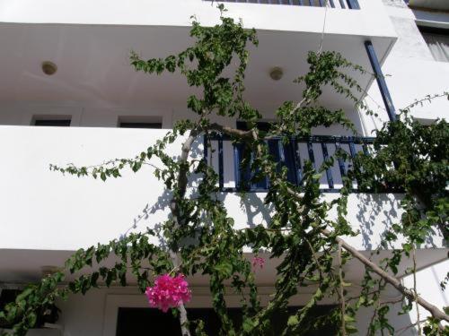 Bay Watch Aparthotel Karpathos Exterior photo